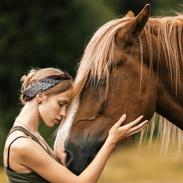 Neurological Exams, Mount Vernon Vets