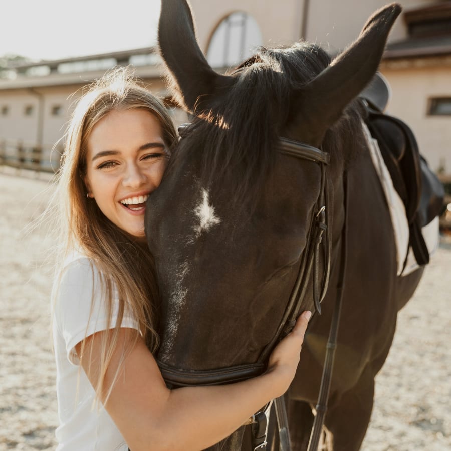 Equine Pre-purchase Exams, Mount Vernon Vets