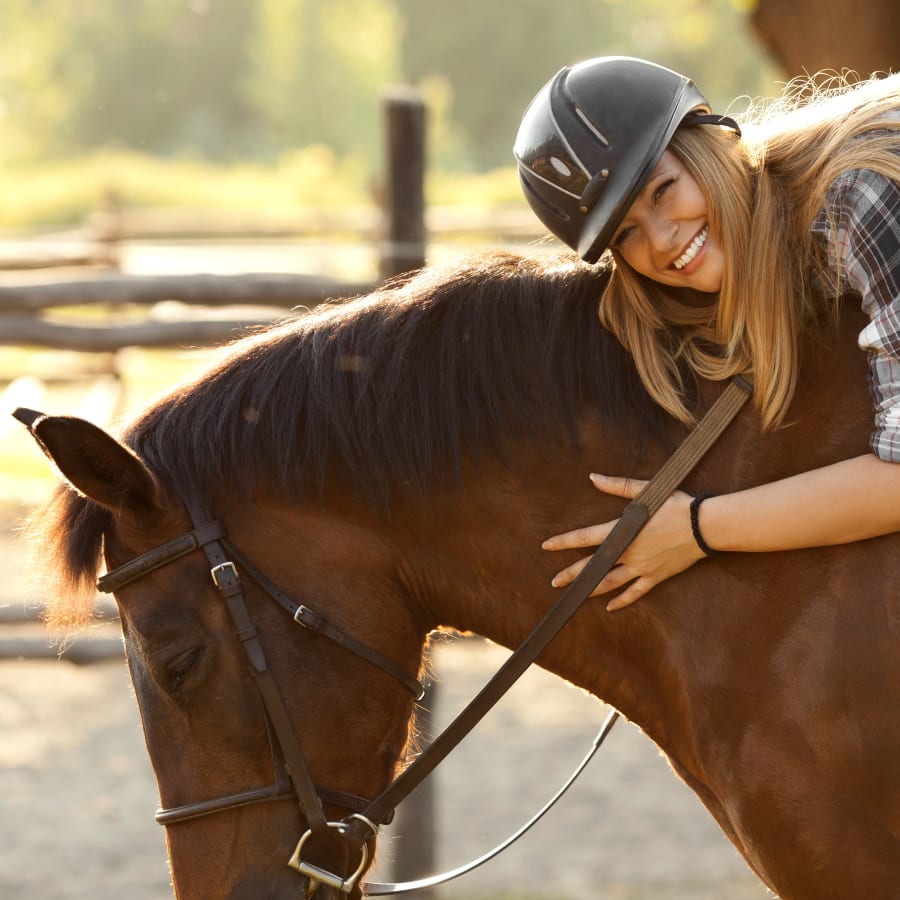 Equine Regenerative Therapy, Mount Vernon Vets