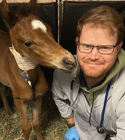 Dr. David White, Mount Vernon Veterinarian