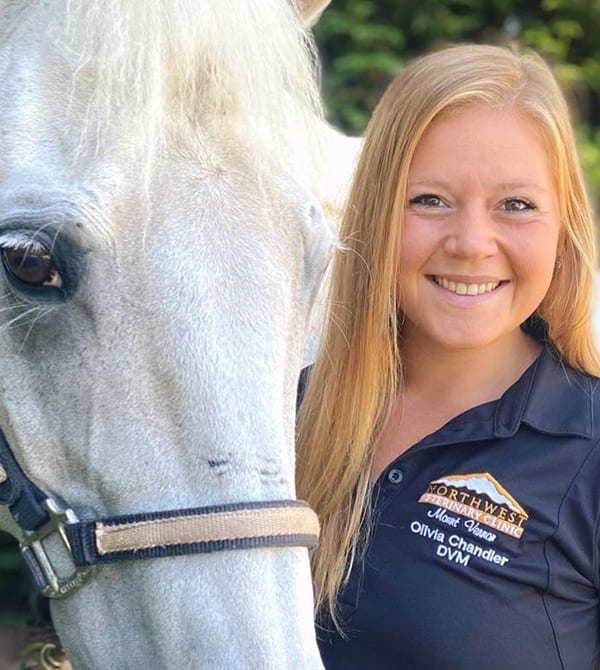 Mount Vernon Veterinarian